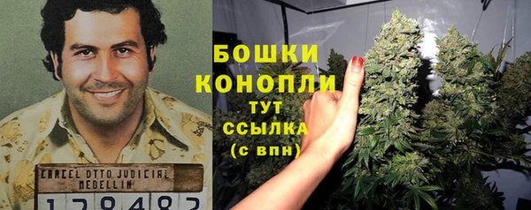 шишки Зеленодольск