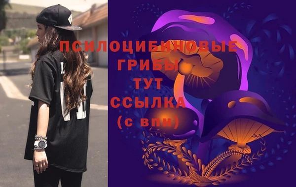 шишки Зеленодольск