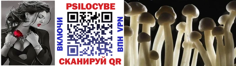 Галлюциногенные грибы Psilocybine cubensis  Купить закладки  Барнаул 
